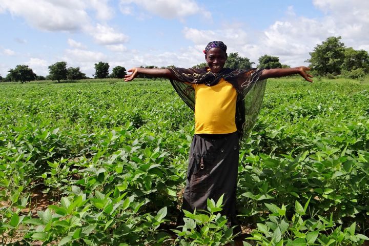 Projects In Sudan